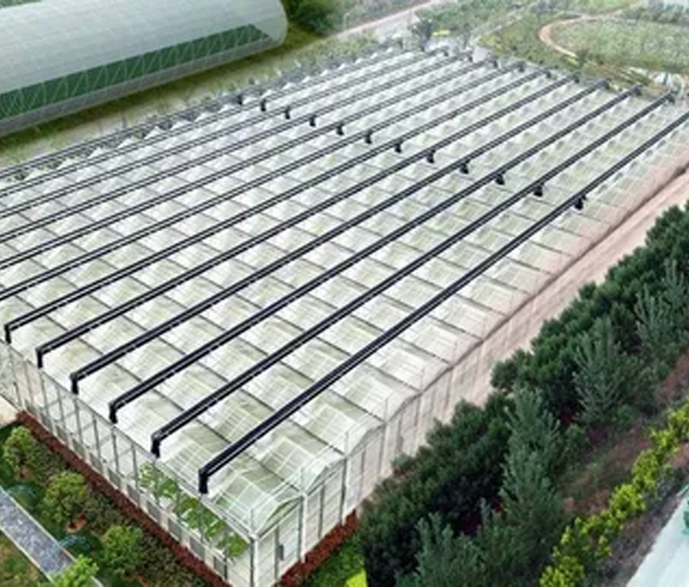 Steel Structure Engineering of Shanghai Alibaba Digital Agriculture Project